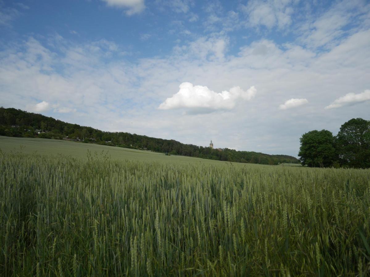 Pension Gruenes Herz Tonndorf ภายนอก รูปภาพ