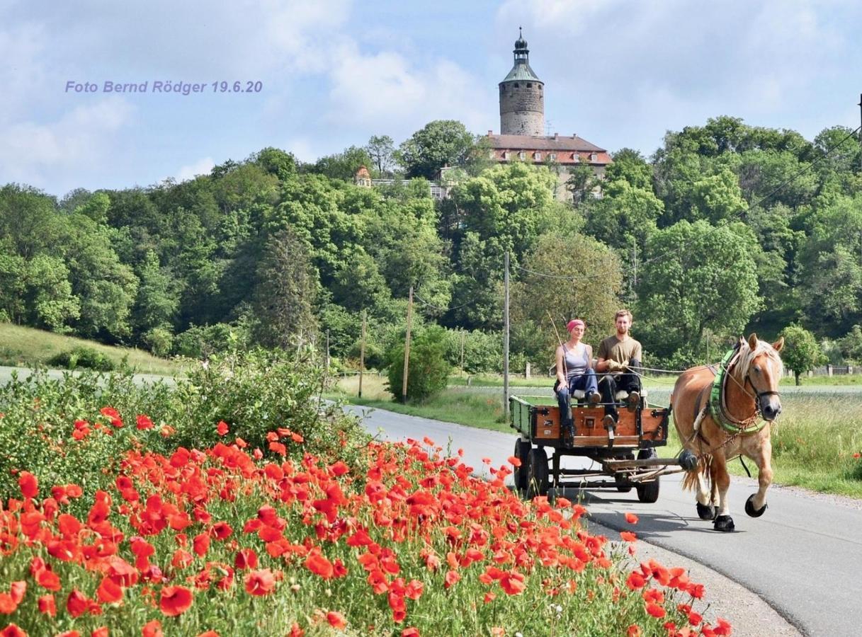Pension Gruenes Herz Tonndorf ภายนอก รูปภาพ