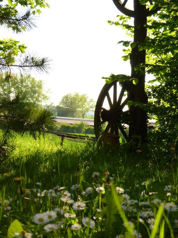Pension Gruenes Herz Tonndorf ภายนอก รูปภาพ